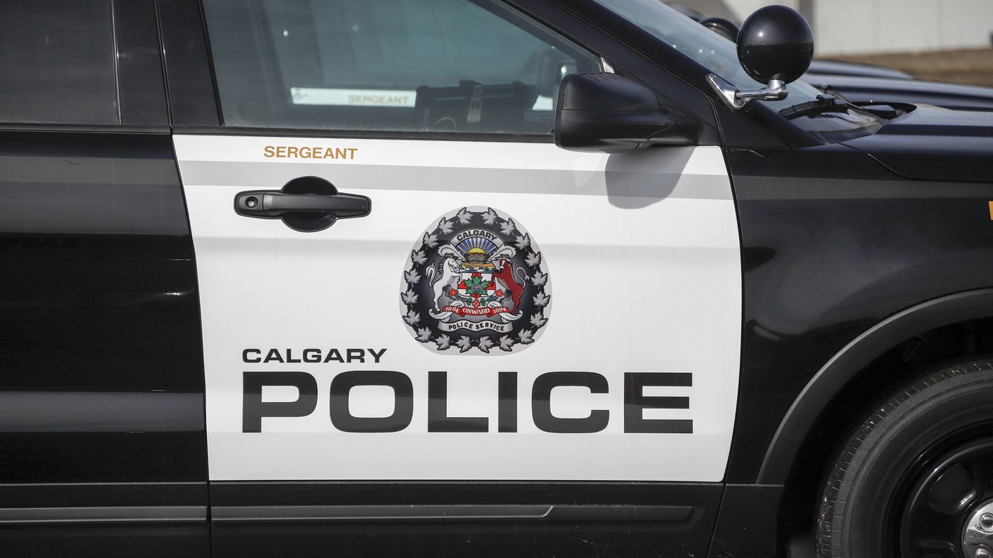 Woman sexually assaulted in random attack at CTrain station: CPS