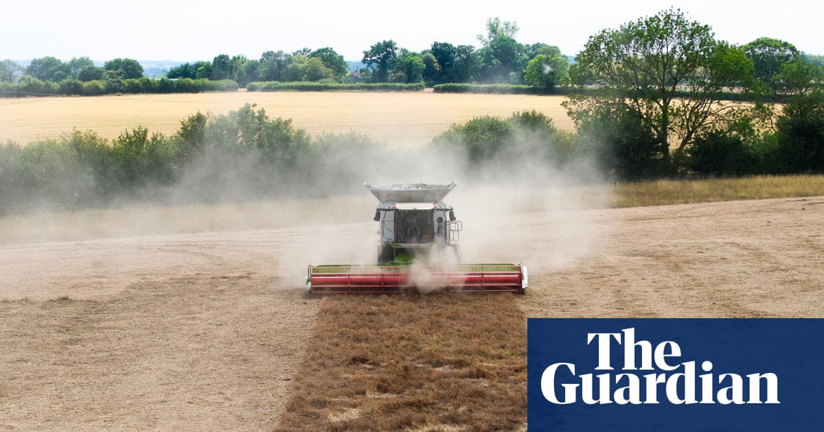 Tougher crops and beaver dams: how UK farmers are tackling drought | Farming