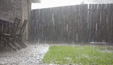 UPDATE: Environment Canada issues rainfall warning Sunday