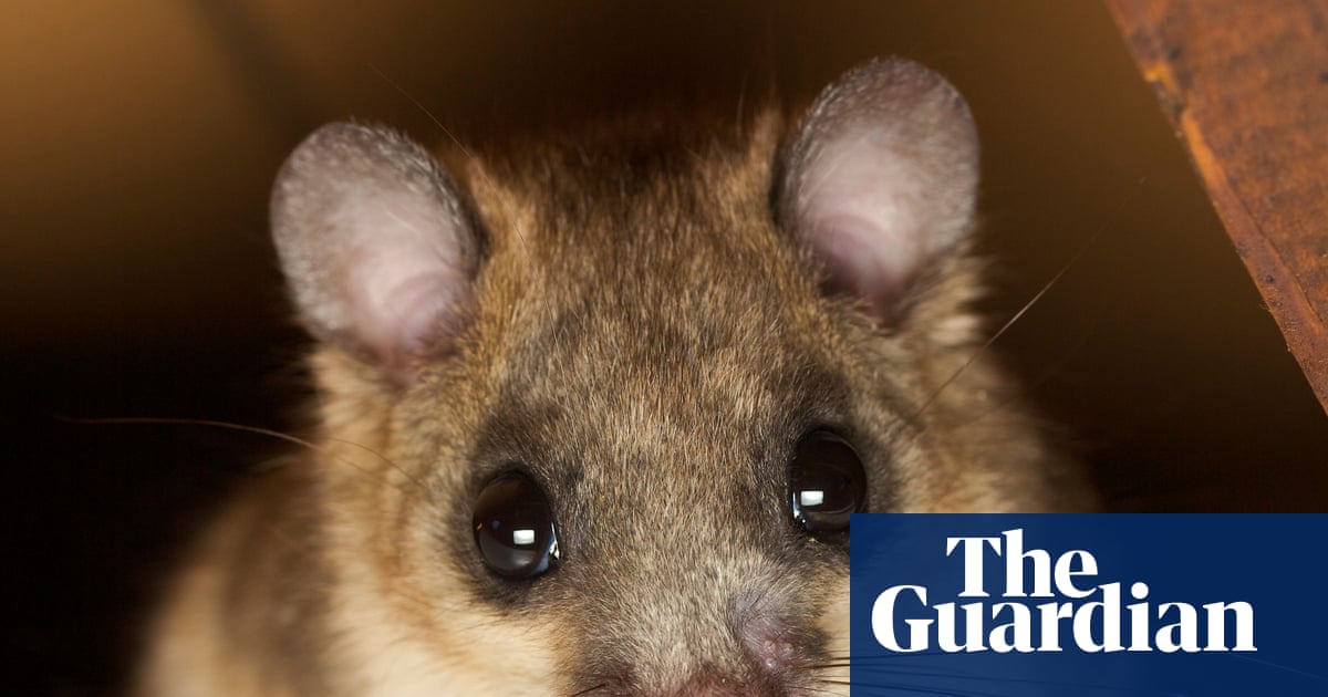Thursday news quiz: A speeding car, a police faux pas and an app that’s gone too far? | Life and style