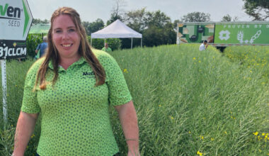 New canola hybrids reflect growing focus on disease resistance