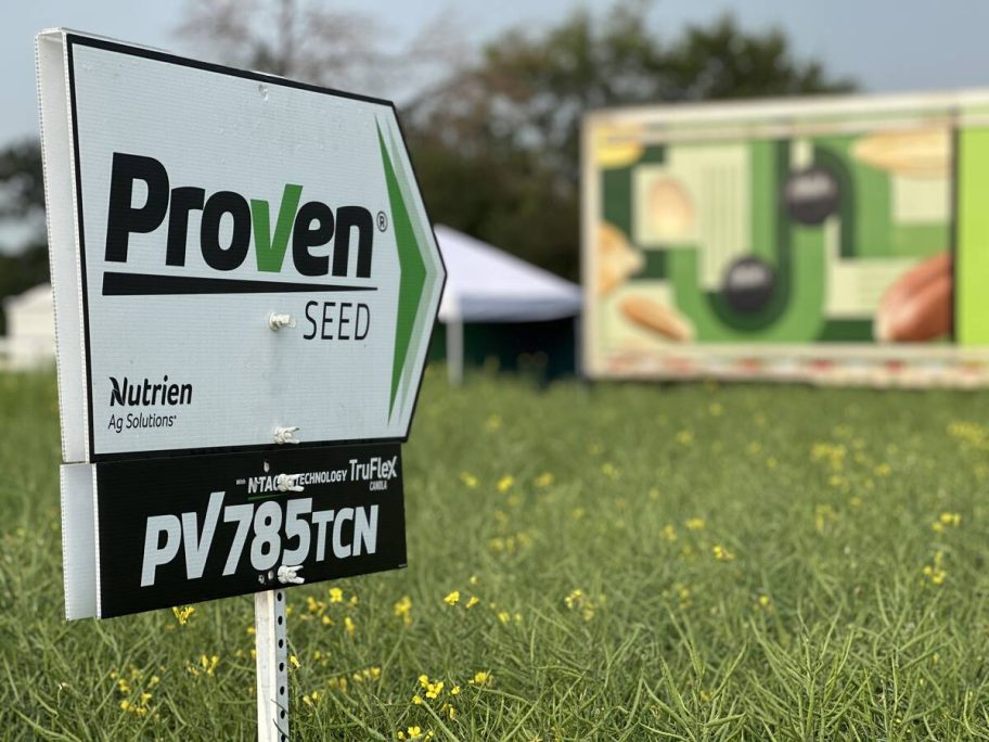 PV 785 TCN was introduced at Ag in Motion for growers facing higher disease pressure. The hybrid combines multi-genic clubroot resistance with the NTACT Technology trait package for increased pod integrity. Photo: Don Norman