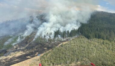 B.C.'s wildfire situation continues to flare up, with more blazes and evacuations - CTV News