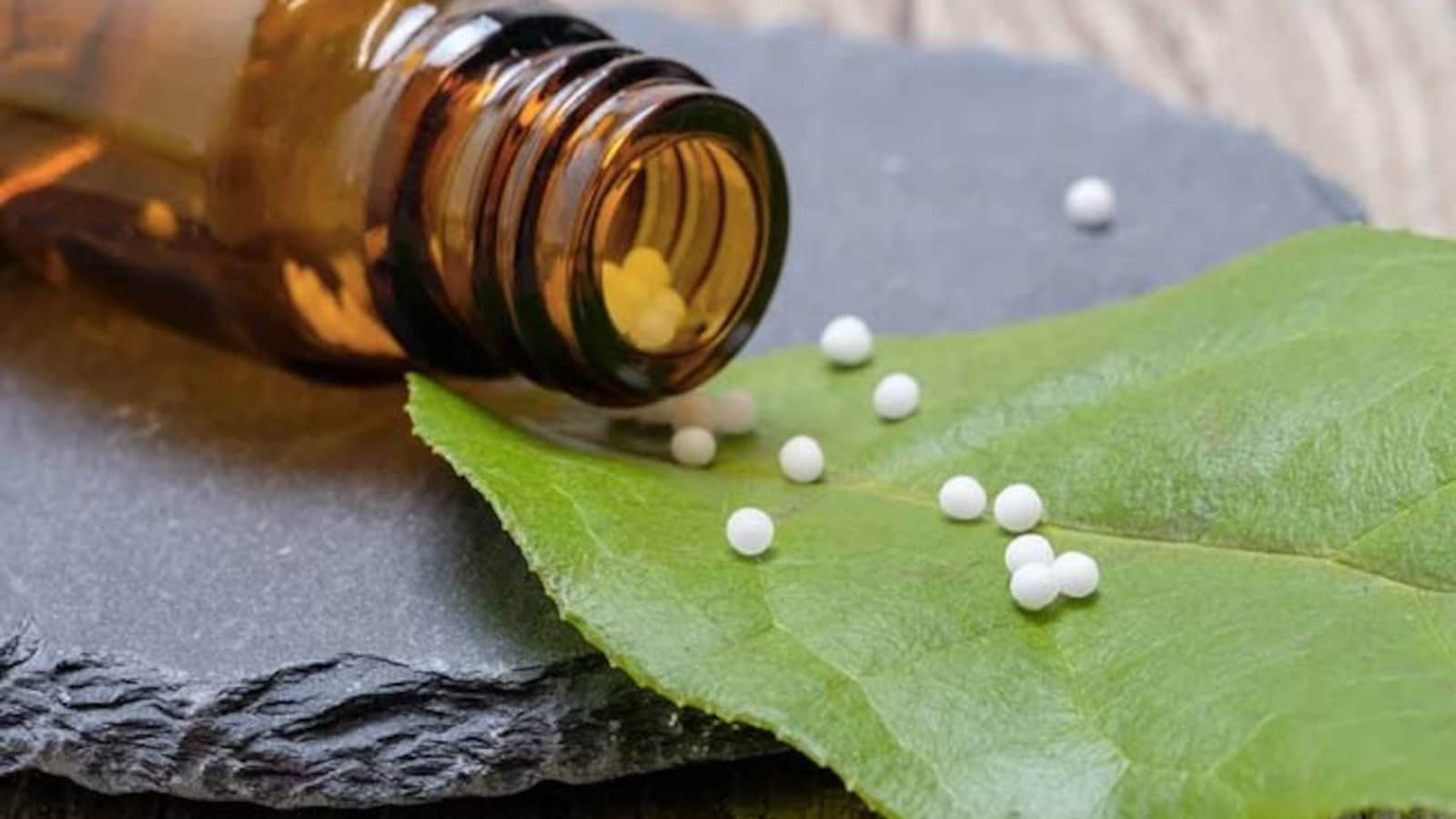 Homoeopaths Can't Practice Other System Of Medicine: Homoeopathy Panel