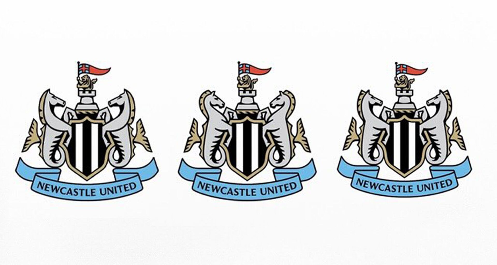 People can't decide whether Newcastle United's logo design poll is a joke