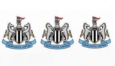 People can't decide whether Newcastle United's logo design poll is a joke