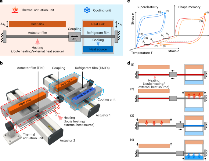 Heat-driven elastocaloric cooling with shape memory films