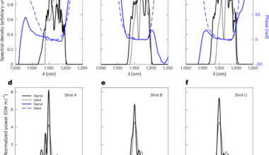 Laser–plasma amplification of an ultrabroadband laser pulse to 0.3 TW