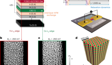 Time-resolved imaging of antiferromagnetic skyrmion interactions