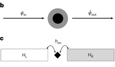 Perfect particle transmission through duality defects
