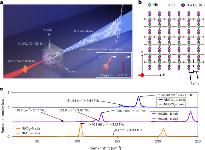 Electric-field control of coherent ferron oscillations