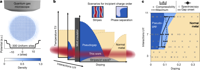 Pseudogap in a Fermi–Hubbard quantum simulator