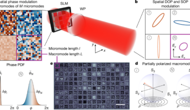 Degree-of-polarization modulation for high-dimensional optical computing