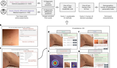Divergent impacts of explainable AI for dermatological diagnosis on clinicians versus lay people