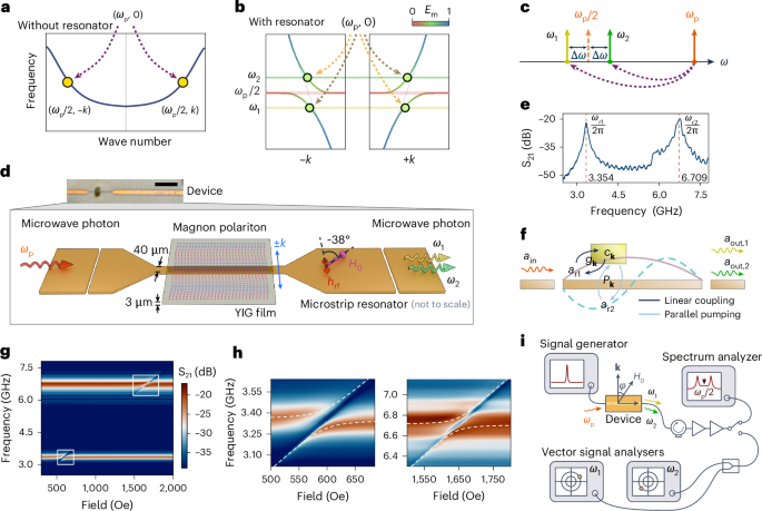 A room-temperature cavity–magnonic source of correlated microwave magnon polariton pairs
