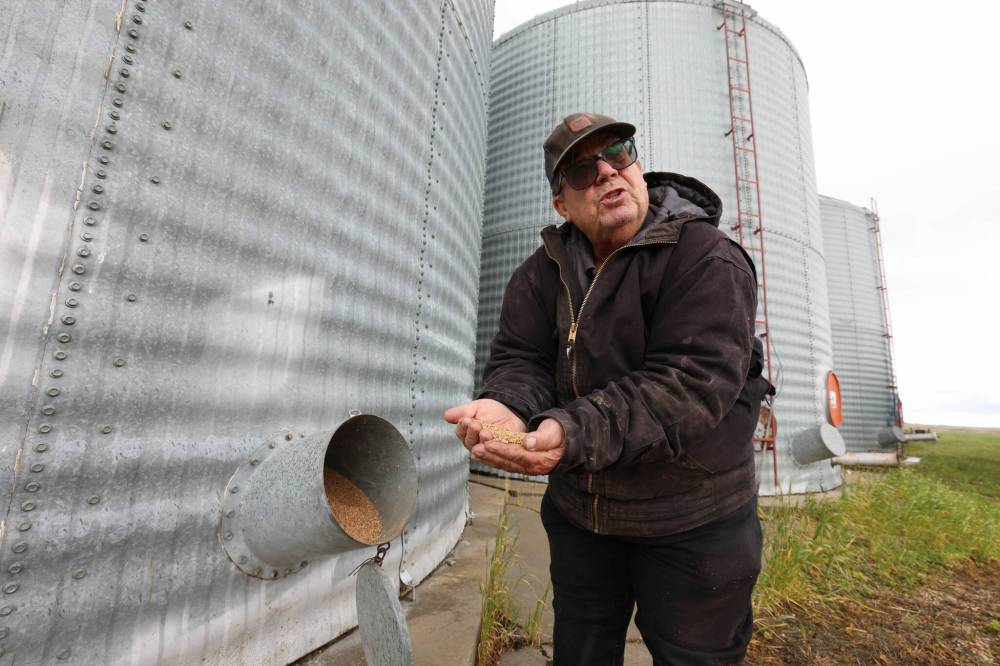 Chuck Fossey on his farm near Starbuck (Ruth Bonneville / Free Press files)
