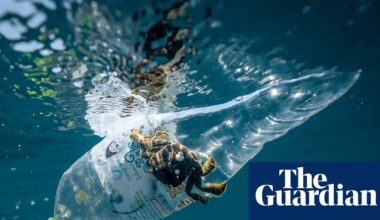 1.3m plastic bottles collected in a day in global volunteer ocean cleanup | Plastics