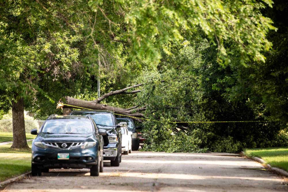 MIKAELA MACKENZIE / FREE PRESS
A storm with high winds downed trees and caused widespread power outages which Manitoba Hydro expected to be repaired by Saturday evening.