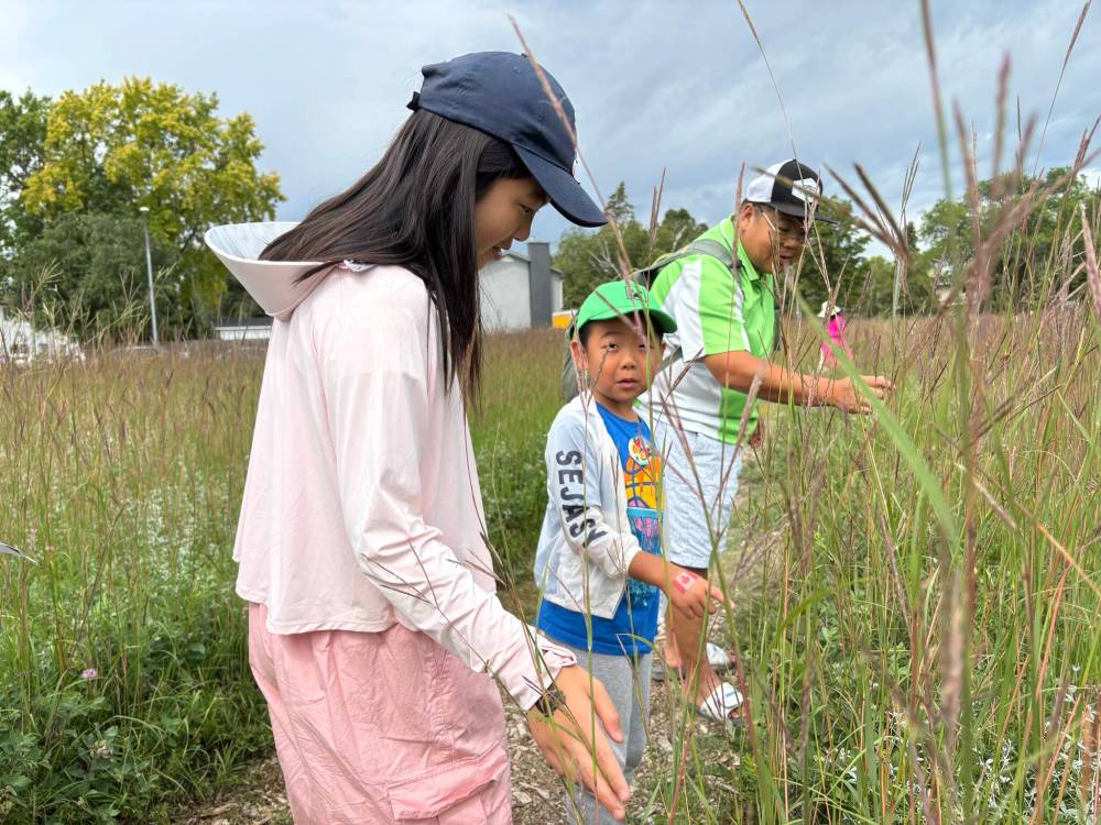 AARON EPP / FREE PRESS
Emily Quan explores the trail at the Living Prairie Museum with her brother, Ian Quan, and her father, John Quan.