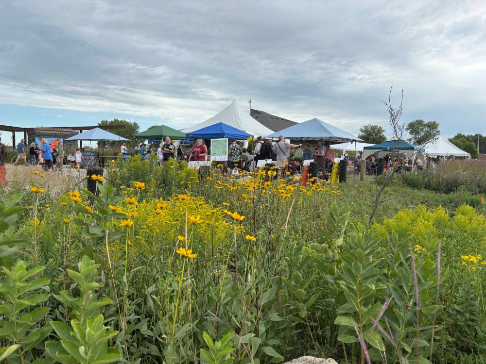 AARON EPP / FREE PRESS
Hundreds of people gathered at the Living Prairie Museum on Saturday for its 50th anniversary celebration and annual Monarch Butterfly Festival. The 13-hectare site is one of the last remaining sections of tall grass prairies in North America.