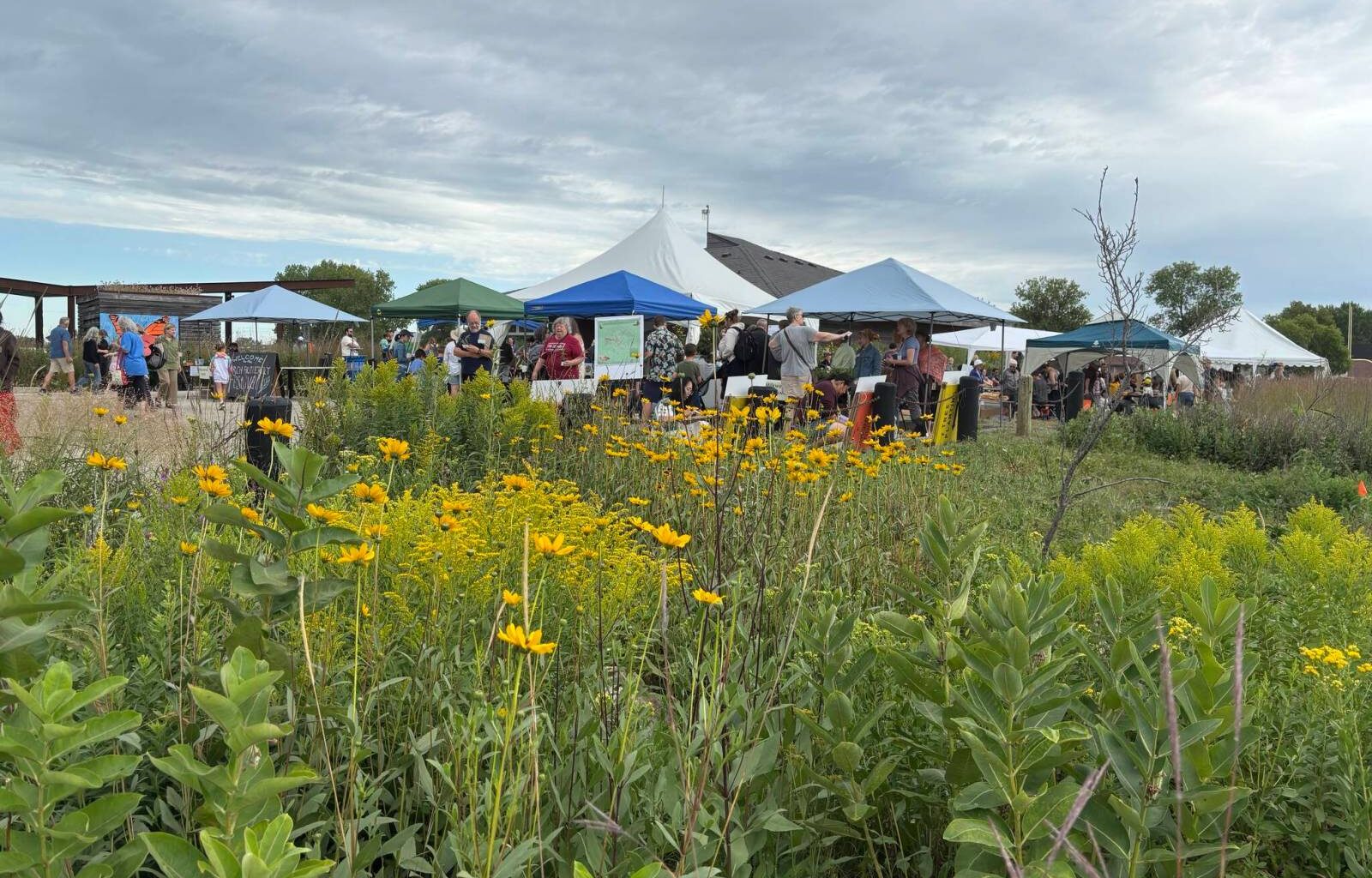 50 years of rare tall grass prairie celebrated – Winnipeg Free Press