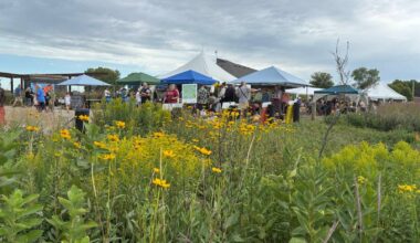 50 years of rare tall grass prairie celebrated – Winnipeg Free Press