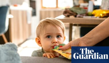 Quarter of branded baby foods in UK still have too much sugar, analysis finds | Children's health