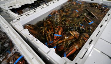 Ottawa reverses fish tariff plan over concerns it could hit Canada’s seafood processing industry