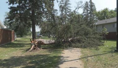 Manitoba power outages: Food drive for St. Norbert