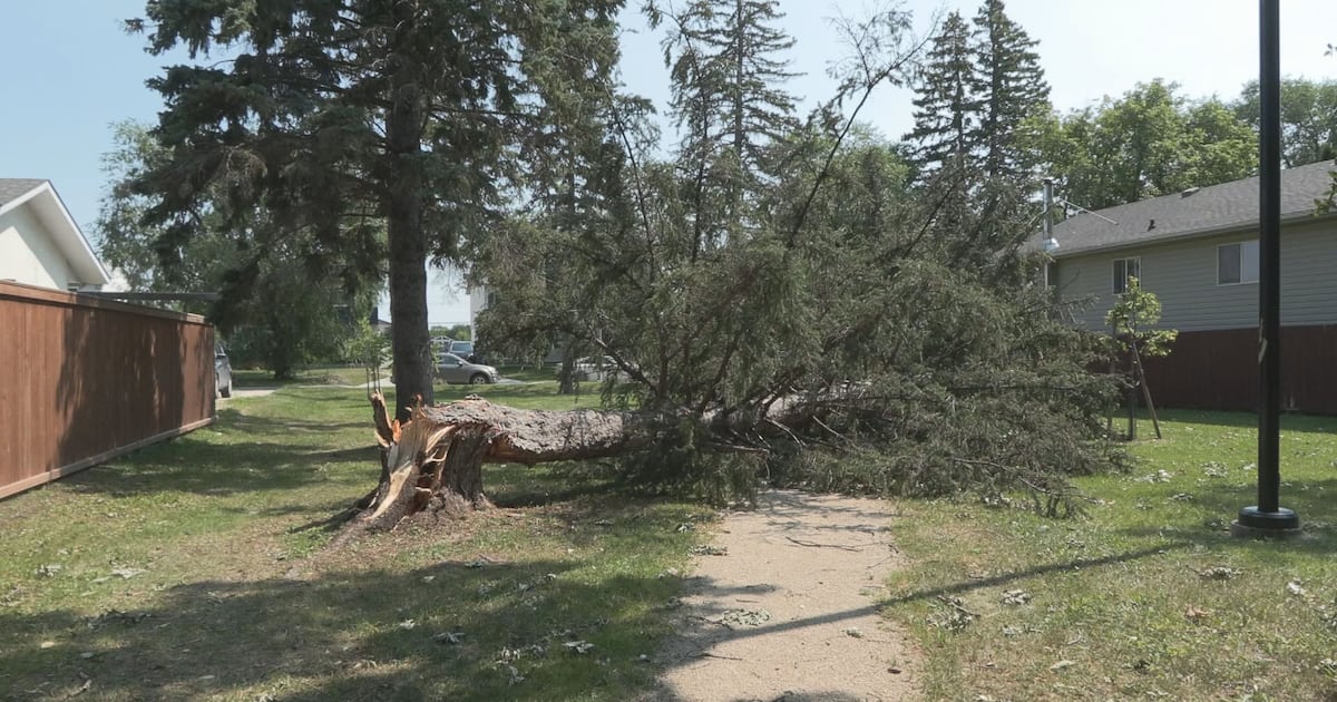 Manitoba power outages: Food drive for St. Norbert
