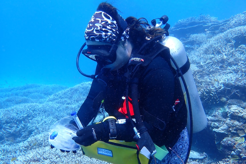 A woman underwater, in scuba diving gear