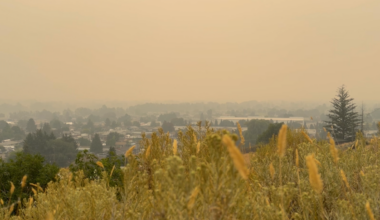 ‘That will impact people’s mental health’: Interior Health explains how Kamloops’ wildfire smoke is linked to physical, mental risks