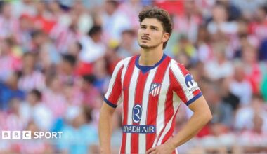 Julian Alvarez in action for Atletico Madrid