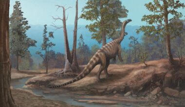 New Dinosaur Discovery in Zimbabwe: Mini-sauropod That May Have Been Bipedal