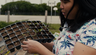 GROWING FOOD IN CITIES: LESSONS FROM TORONTO URBAN FARMERS