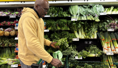 WHERE DO TORONTO’S FRUITS AND VEGGIES COME FROM AND WHY ARE THEY SO EXPENSIVE? | Spare News