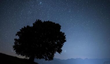 How to spot the Perseid meteor shower, a summer light show that promises to dazzle | Lifestyles