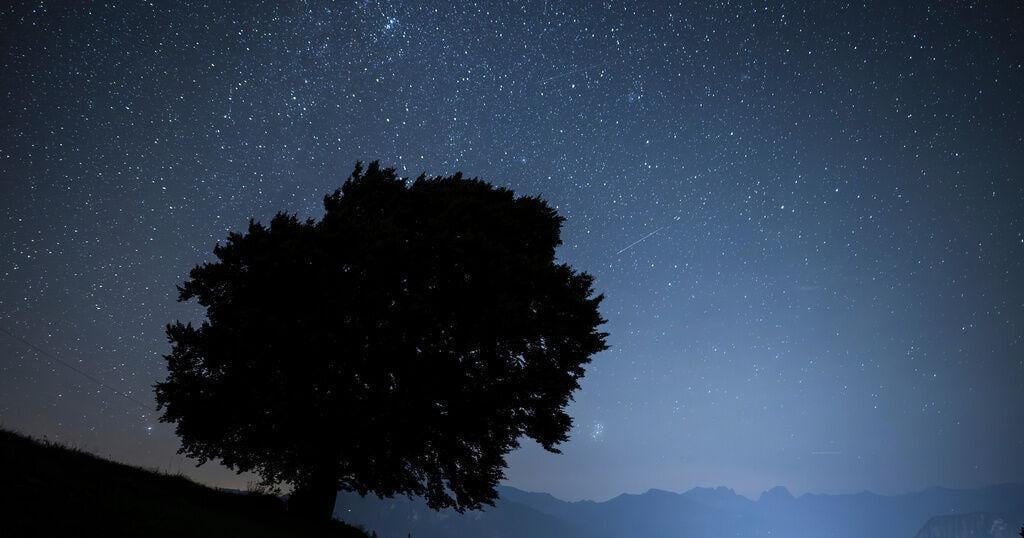 How to spot the Perseid meteor shower, a summer light show that promises to dazzle | Lifestyles