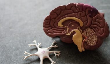 Hormone therapy linked to lower dementia risk in women | Health