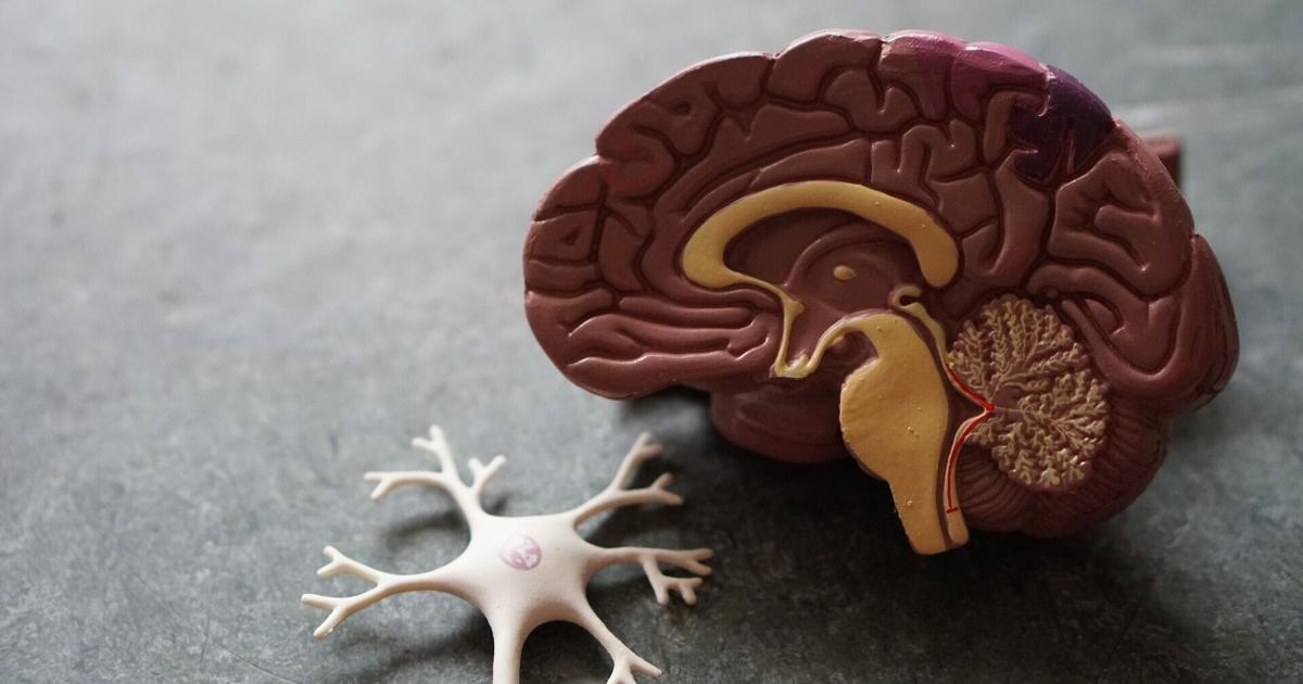 Hormone therapy linked to lower dementia risk in women | Health