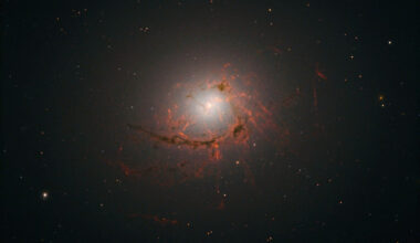 How Do Supermassive Black Holes 'Feed' Themselves?