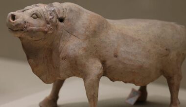 Who Made Ox Alpha? the Mystery AI Is Turning Heads in Silicon Valley.