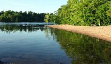 No swimming after discovery of algae bloom at Gilmour Point Beach