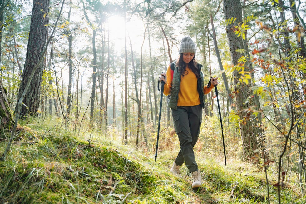 Full length portrait of young woman with backpack and Nordic walking poles enjoying hiking in forest lit by sunlight Full length portrait of young woman with backpack and Nordic walking poles enjoying hiking in forest lit by sunlight