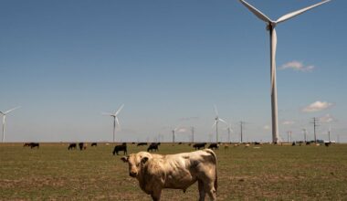 The Very Trumpy State That Leads the Country in Renewable Energy