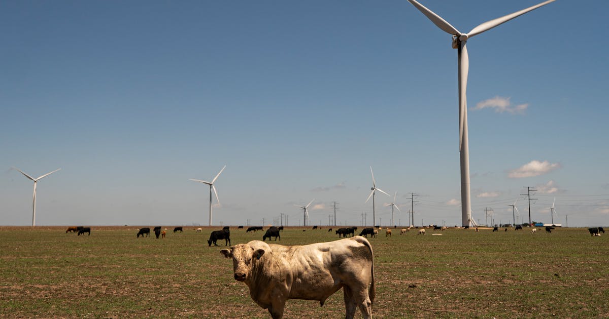 The Very Trumpy State That Leads the Country in Renewable Energy