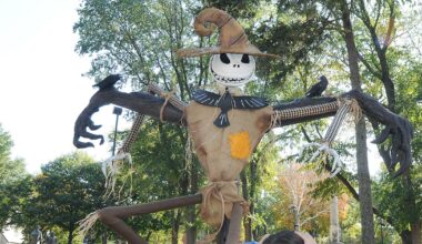 Ottawa Scarecrow Festival ends after 40 years – Shaw Local
