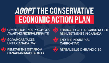 Adopt the Conservative Economic Action Plan