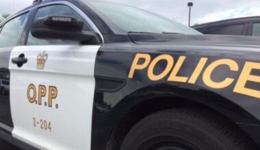 Brampton hit-and-run
