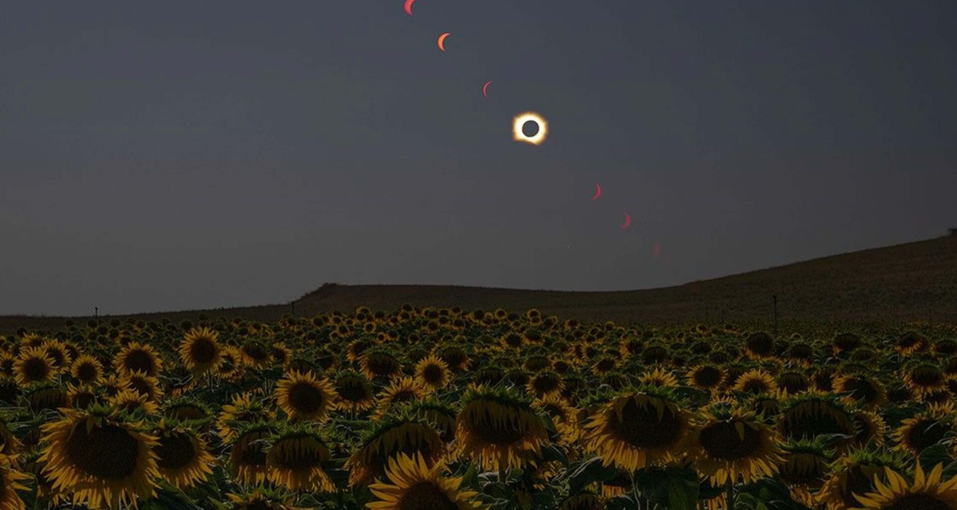 We've been eclipsed: NASA photographers share stellar images from this week's solar event – and there's at least one Easter egg that's worth discovering